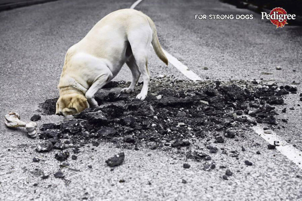 Anúncio publicitário Pedigrre. Texto: "For strong dogs". Foto de cachorro cavando buraco em rua de asfalto.